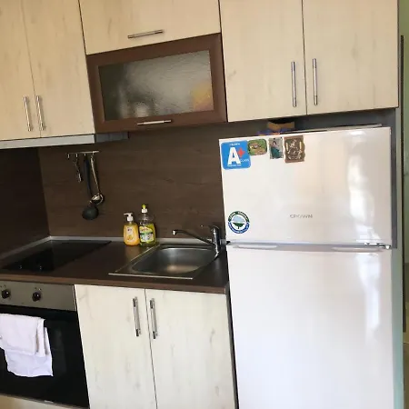 Апартаменты Apartament Gabriela