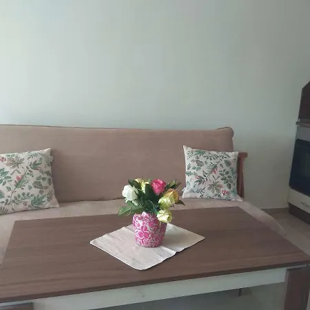 Апартаменты Apartament Gabriela *
